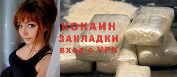 прущие грибы Белокуриха