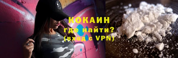 прущие грибы Белокуриха