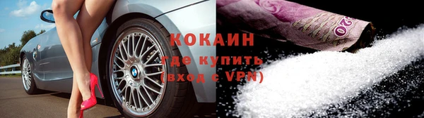 прущие грибы Белокуриха