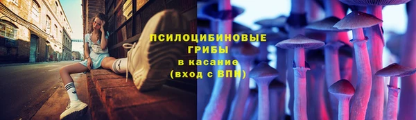 дурь Беломорск