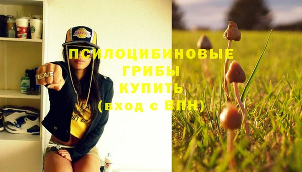 прущие грибы Белокуриха