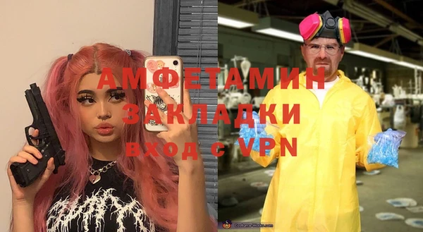 прущие грибы Белокуриха