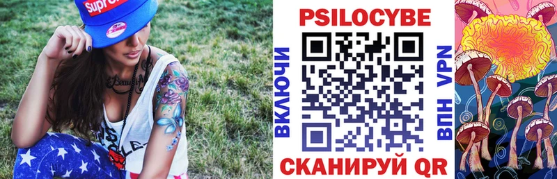 Купить закладки  Апрелевка  Псилоцибиновые грибы GOLDEN TEACHER 